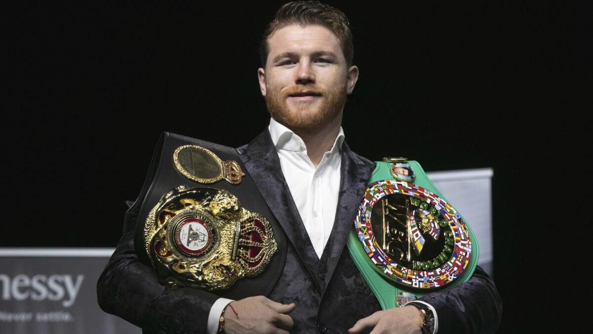 all canelo belts 0015