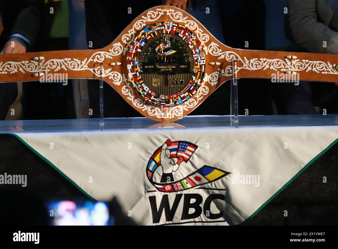 all canelo belts 0028