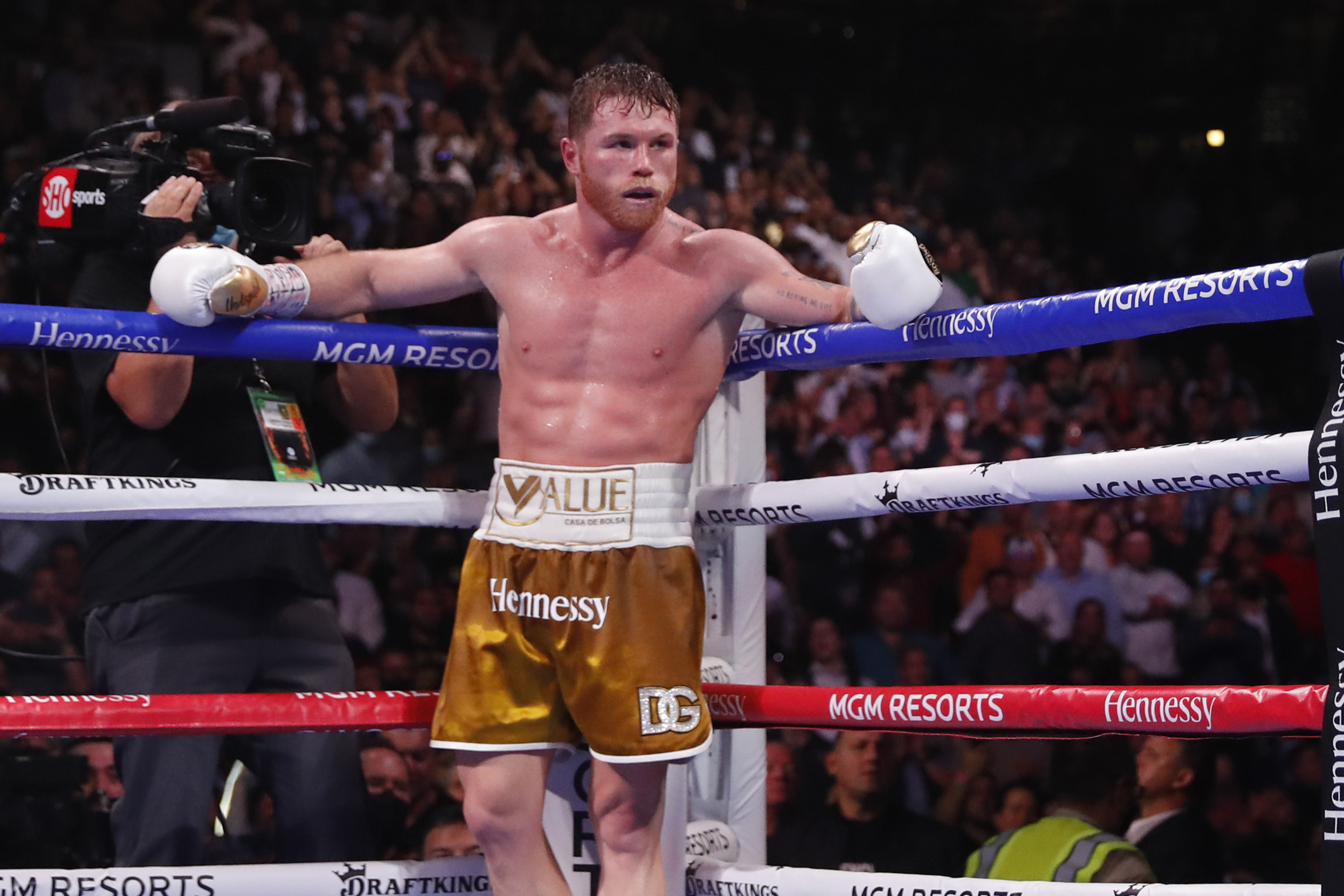 Canelo boxing schedule 2022