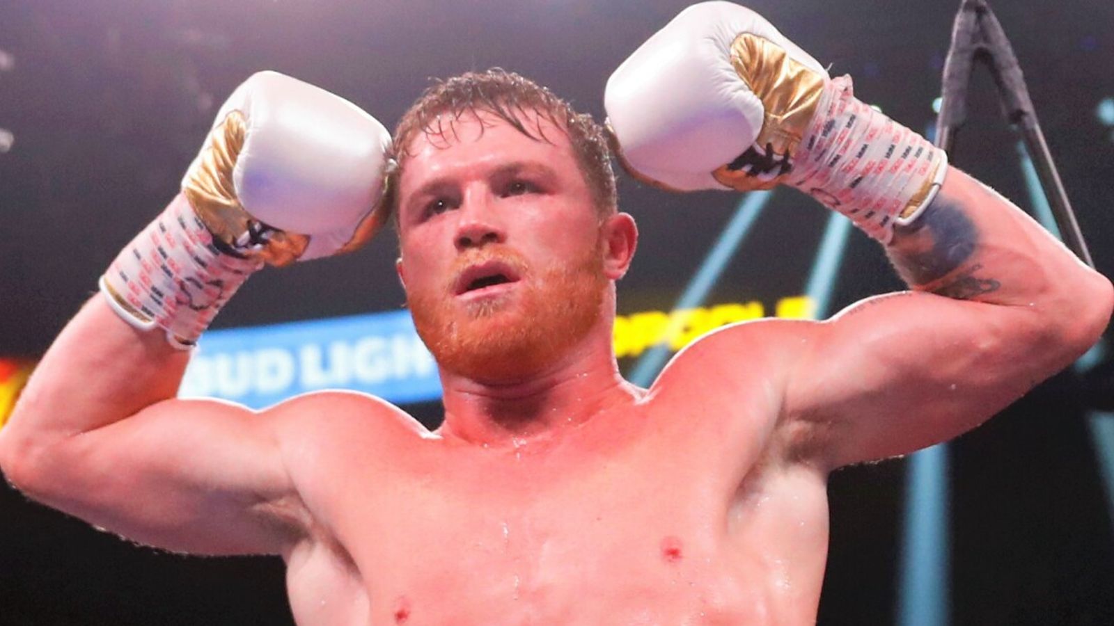 canelo color 0009