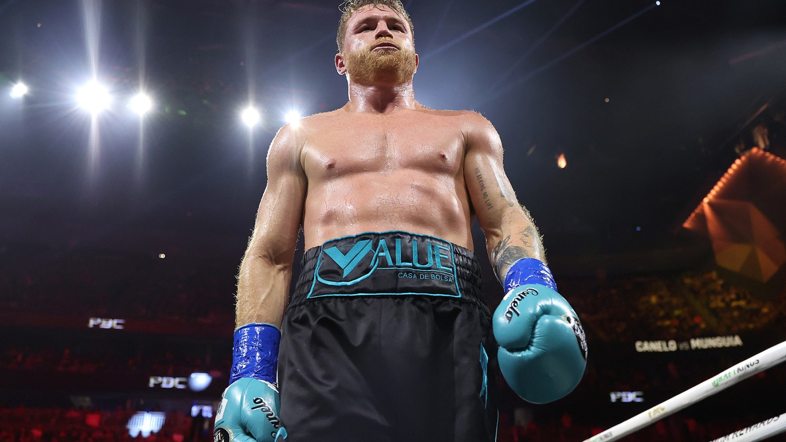 canelo color 0020