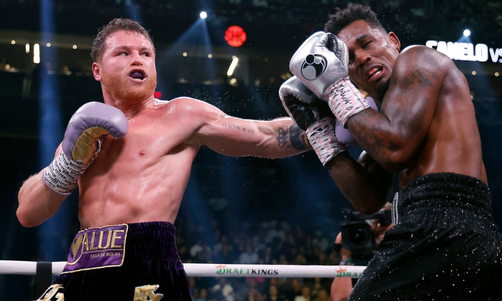 Canelo fans reactions.