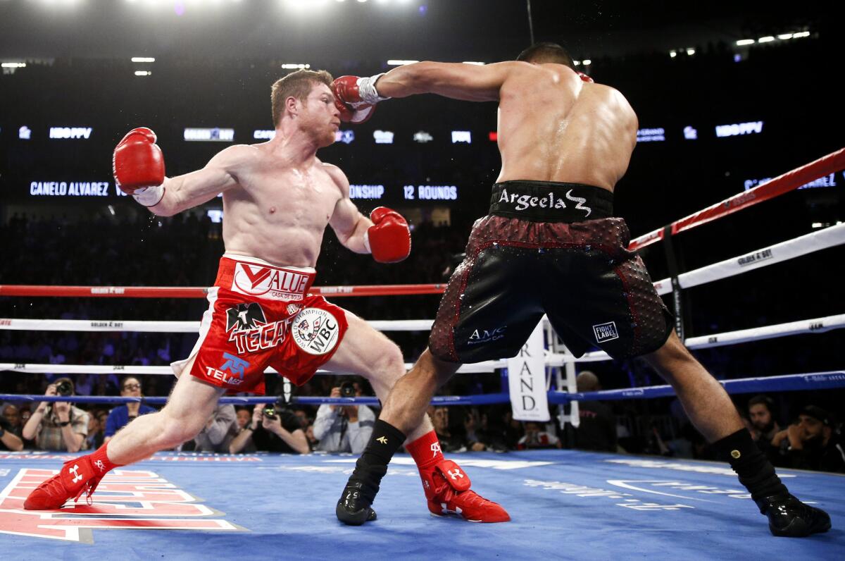 canelo fight las vegas 0033