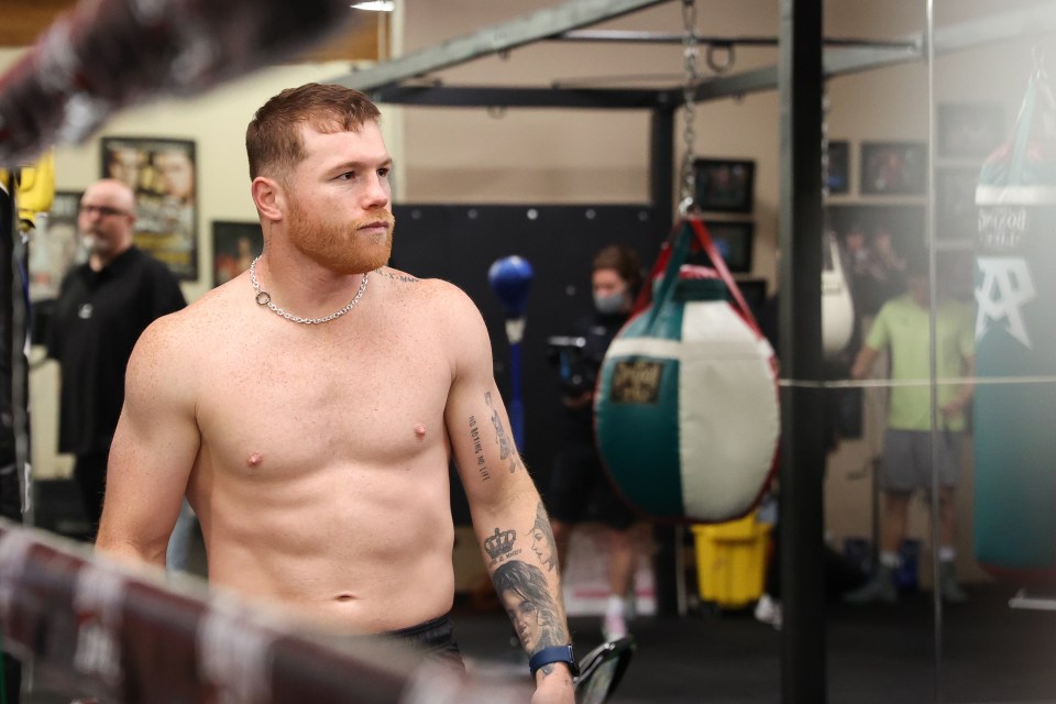 canelo heavyweight 0017