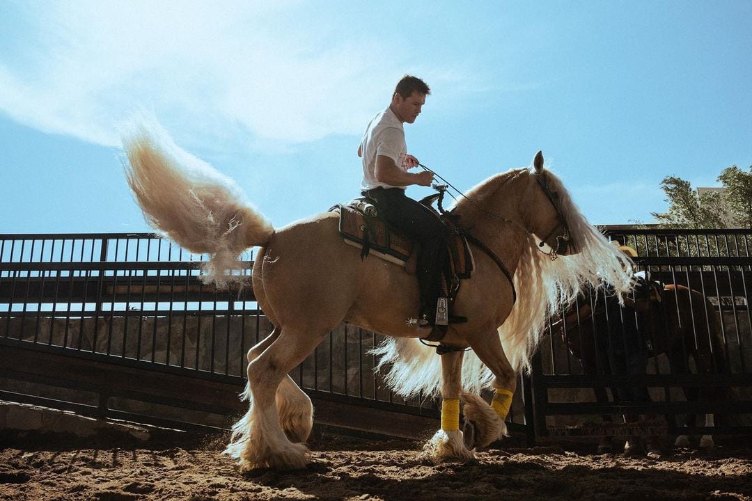 Canelo horse racing