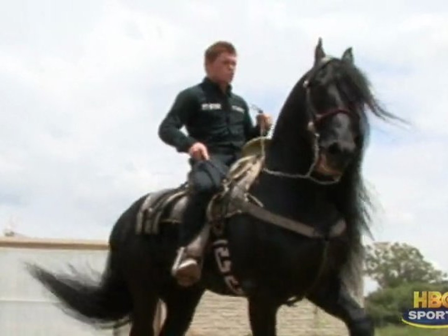 Canelo horse training