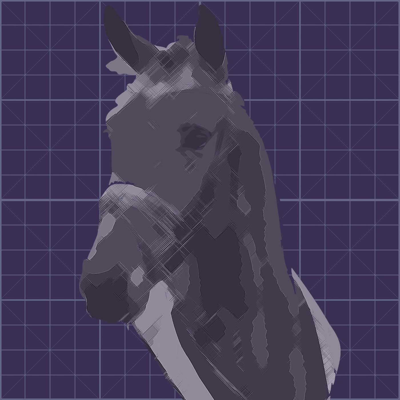 canelo horse 0019