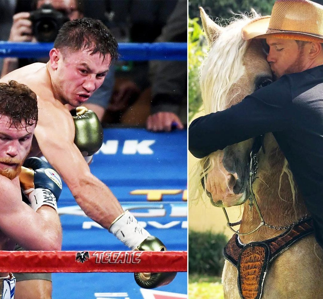 canelo horse 0024