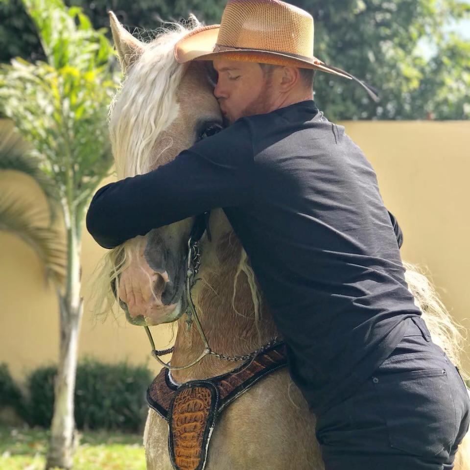 canelo horse 0036
