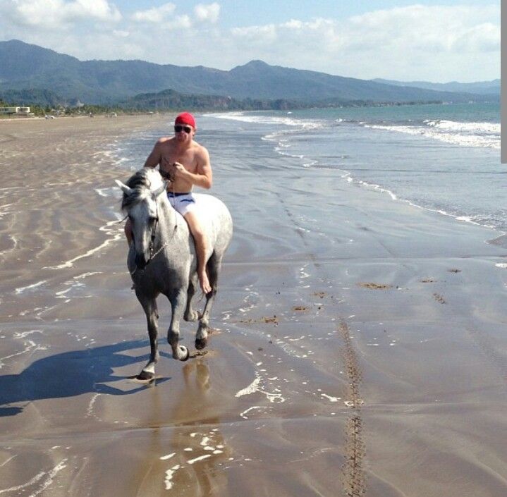 canelo horse 0038