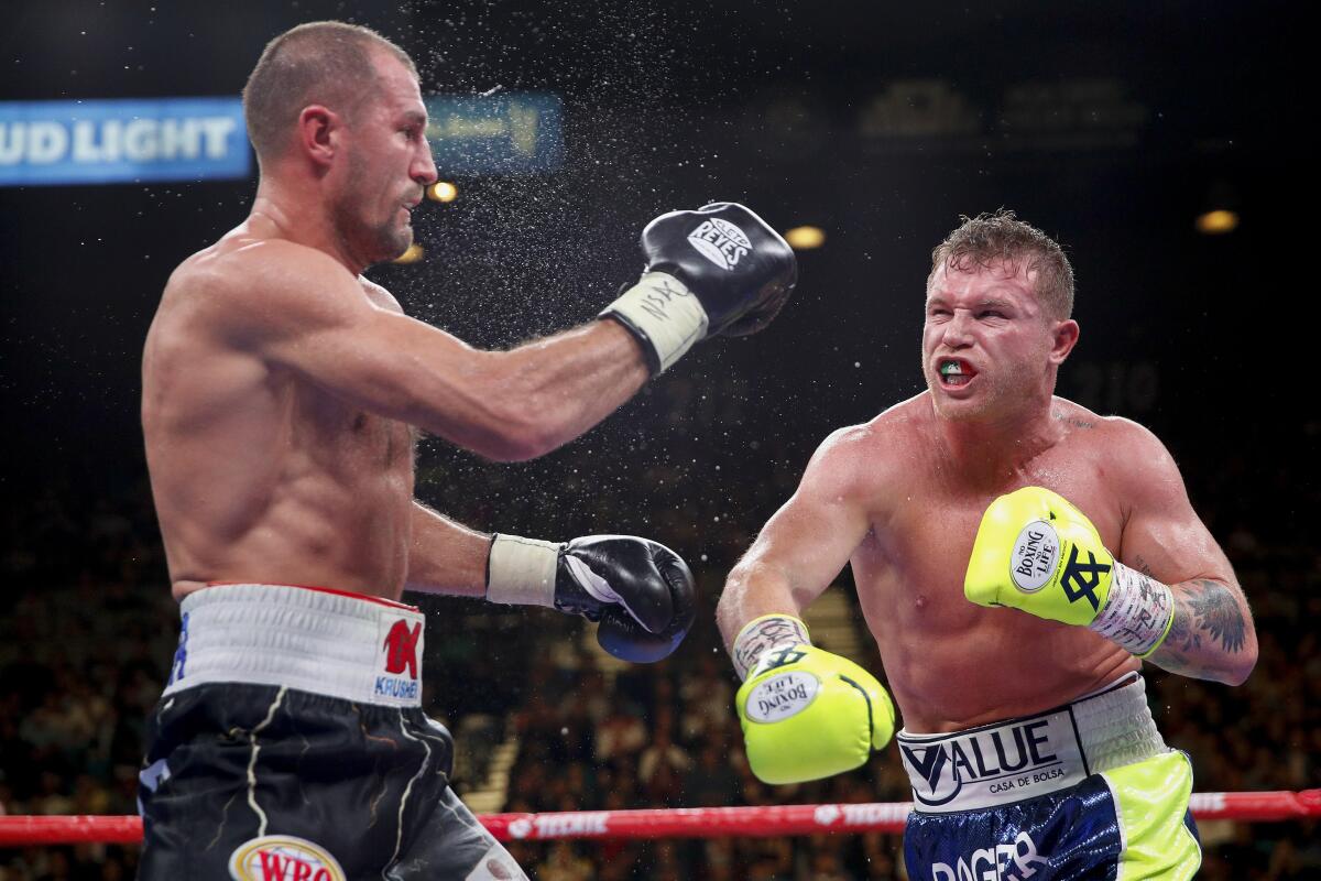 Canelo vs Gennadiy Golovkin heavyweight