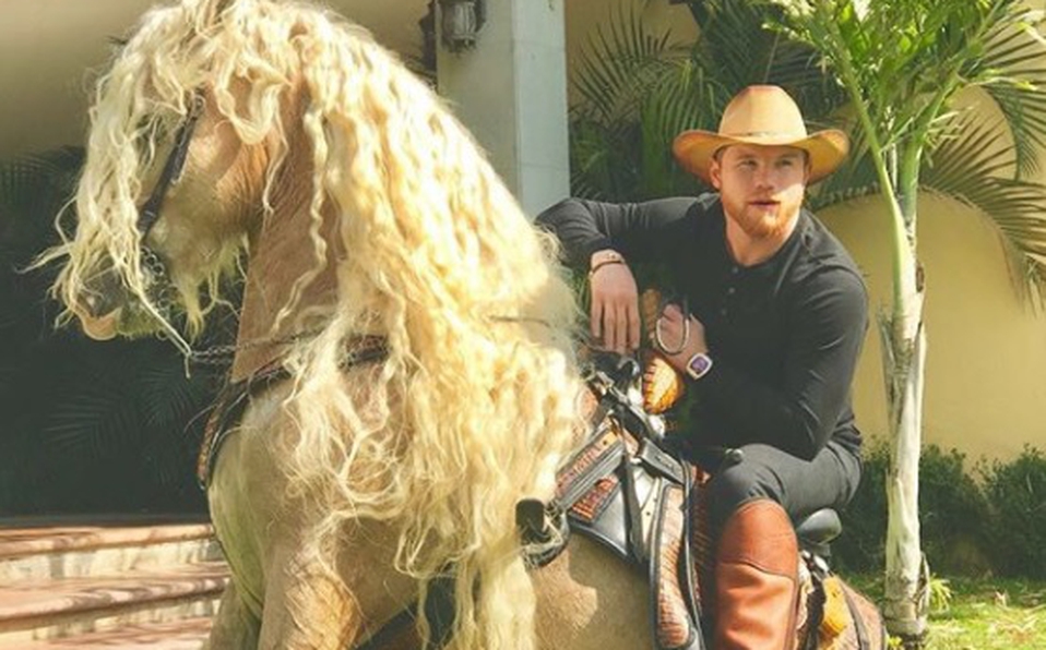 Canelo’s equine journey.
