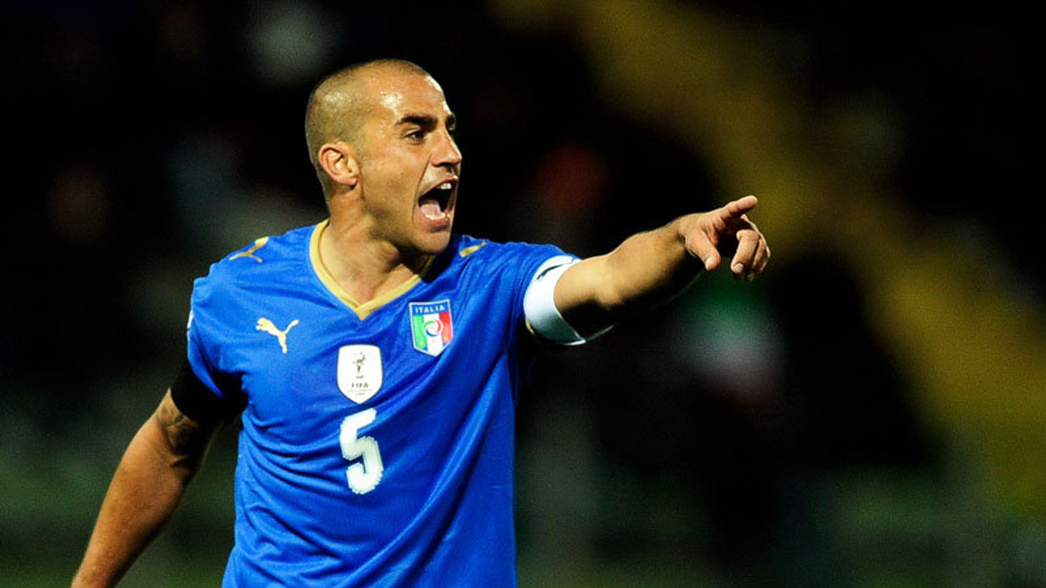 Cannavaro international career