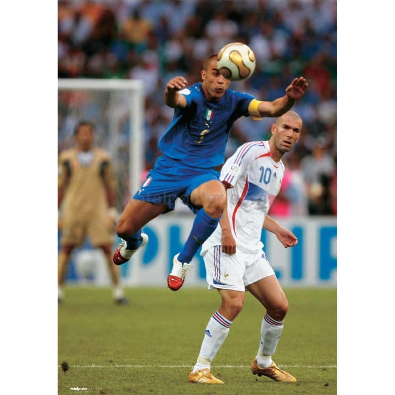 cannavaro world cup 0028