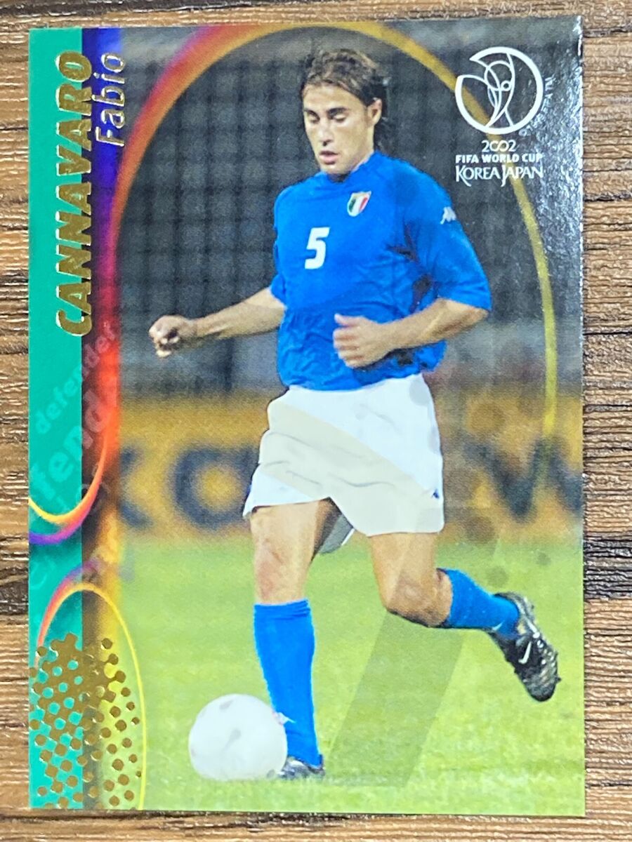 cannavaro world cup 0049