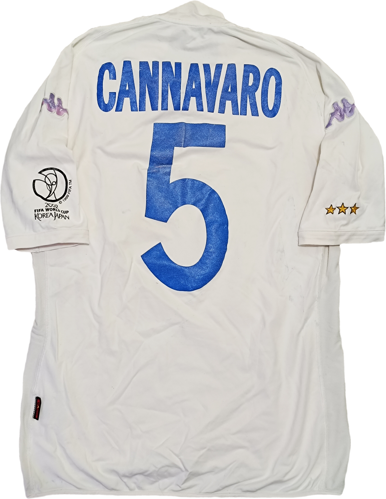cannavaro world cup 0068