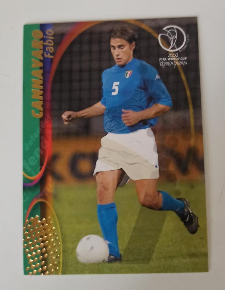 cannavaro world cup 0074