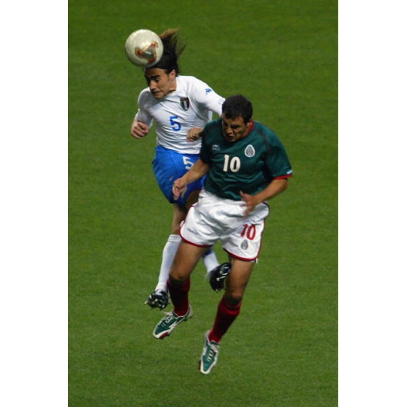 cannavaro world cup 0079
