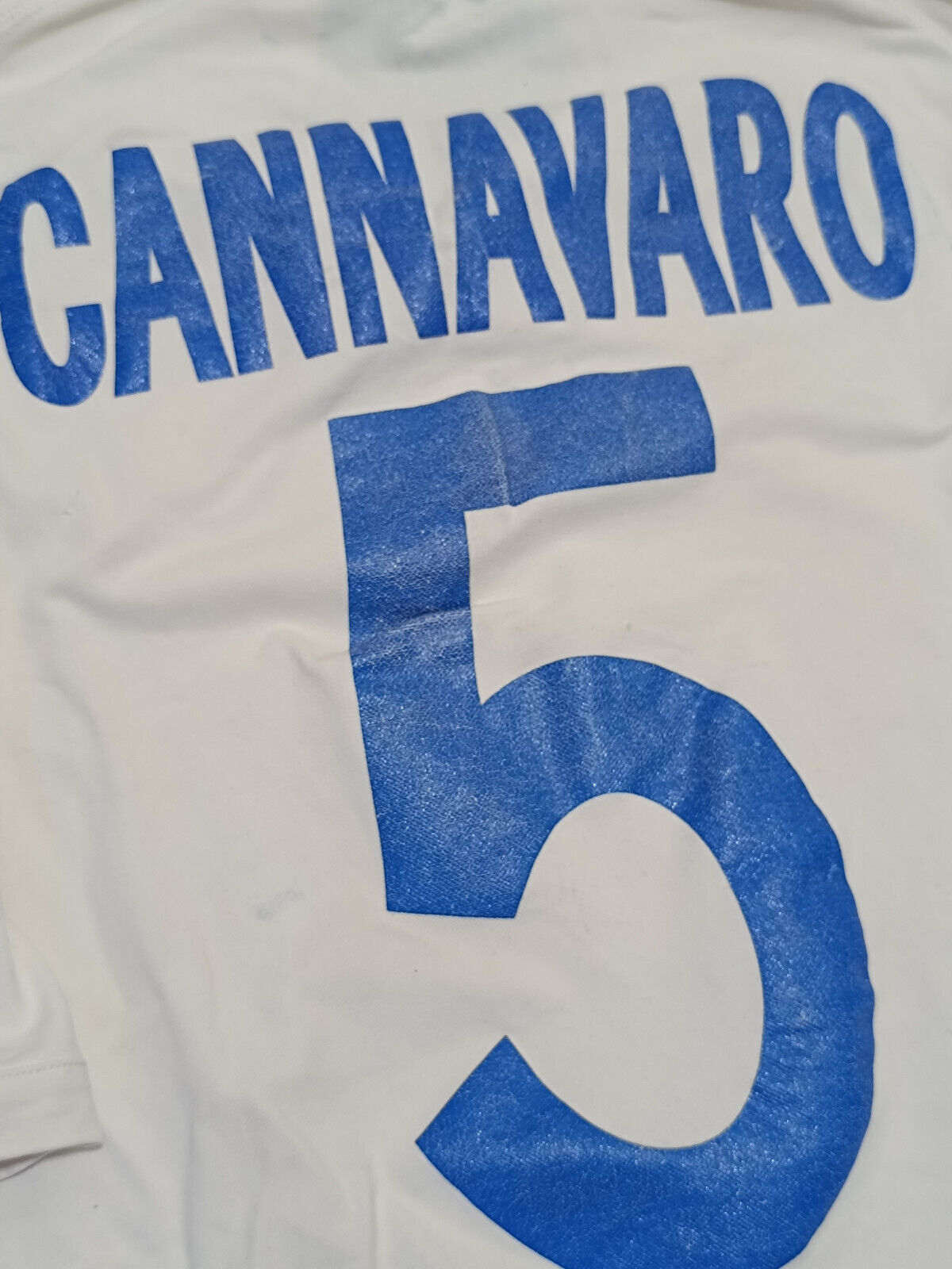 cannavaro world cup 0097