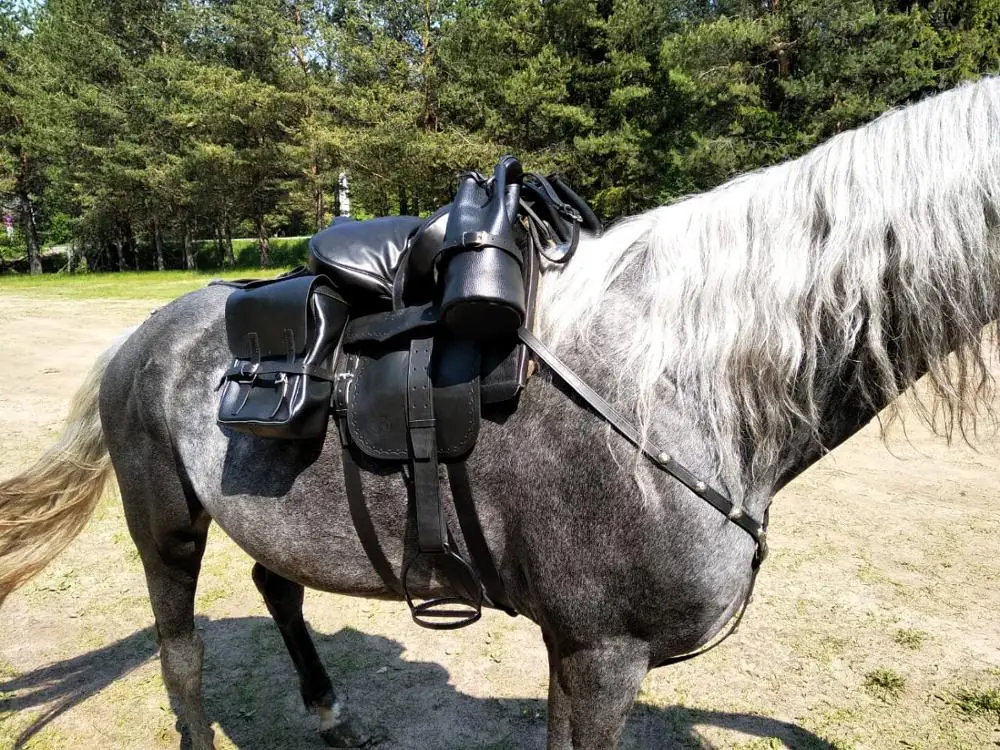 care for Cossack saddles