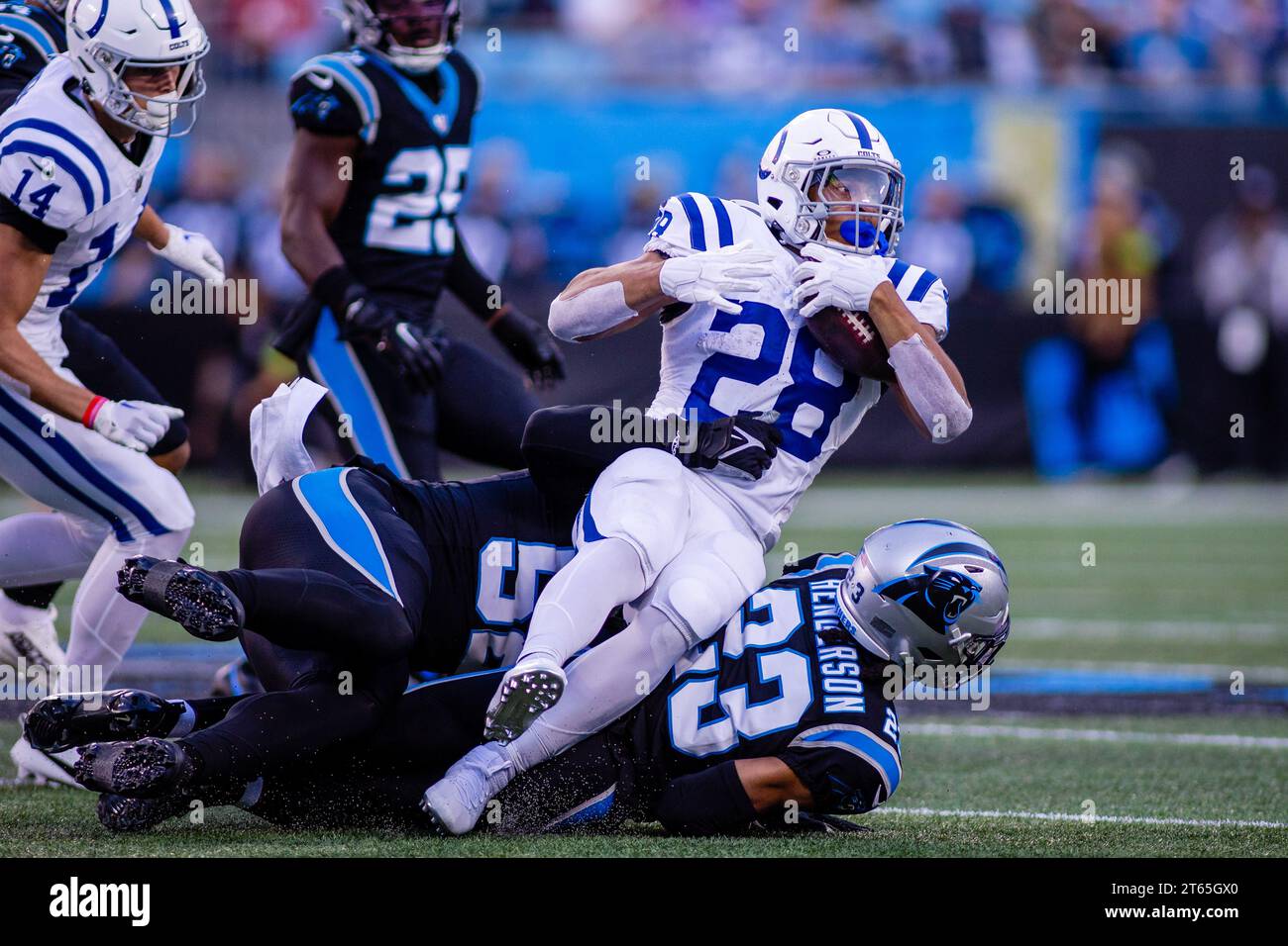 carolina panthers vs colts 0044