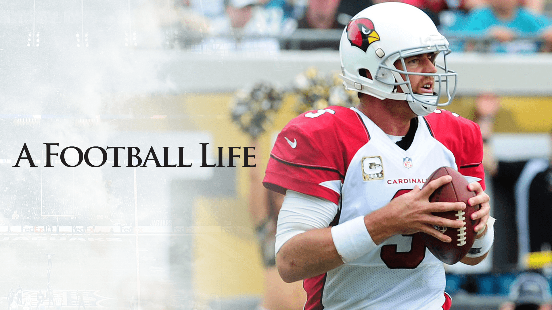 carson palmer super bowl 0034