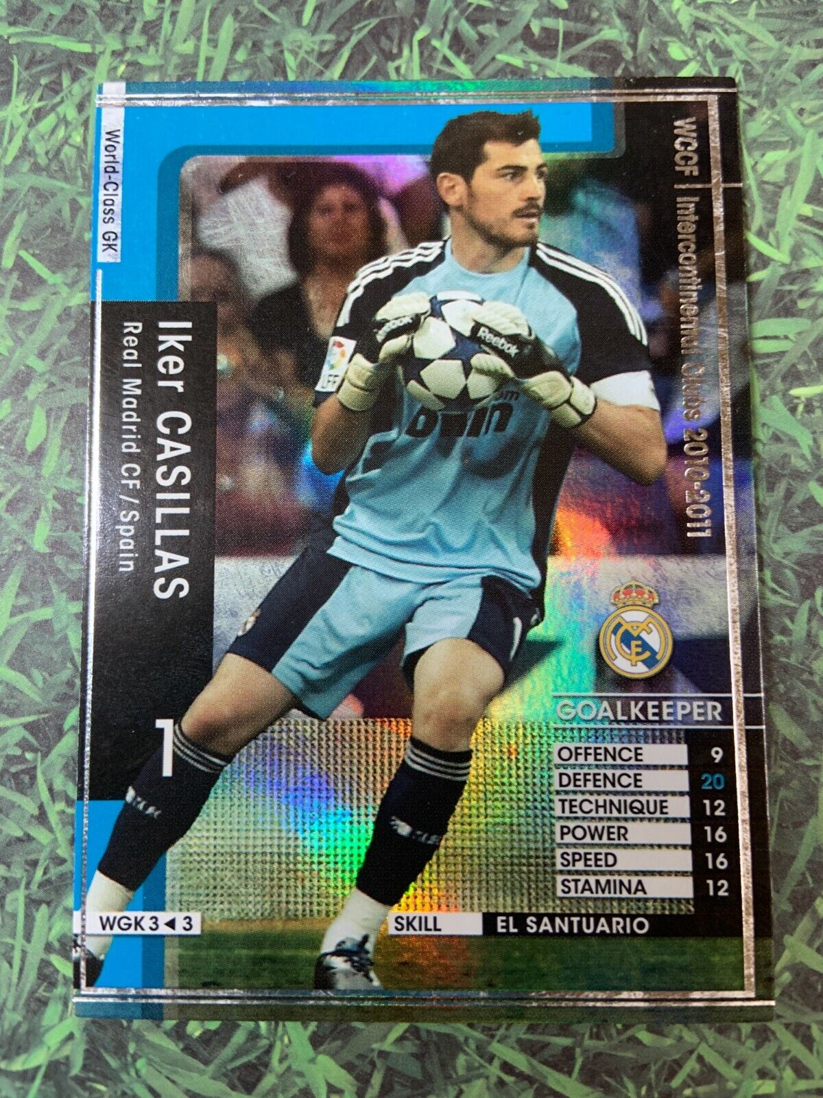 casillas 2010 0080