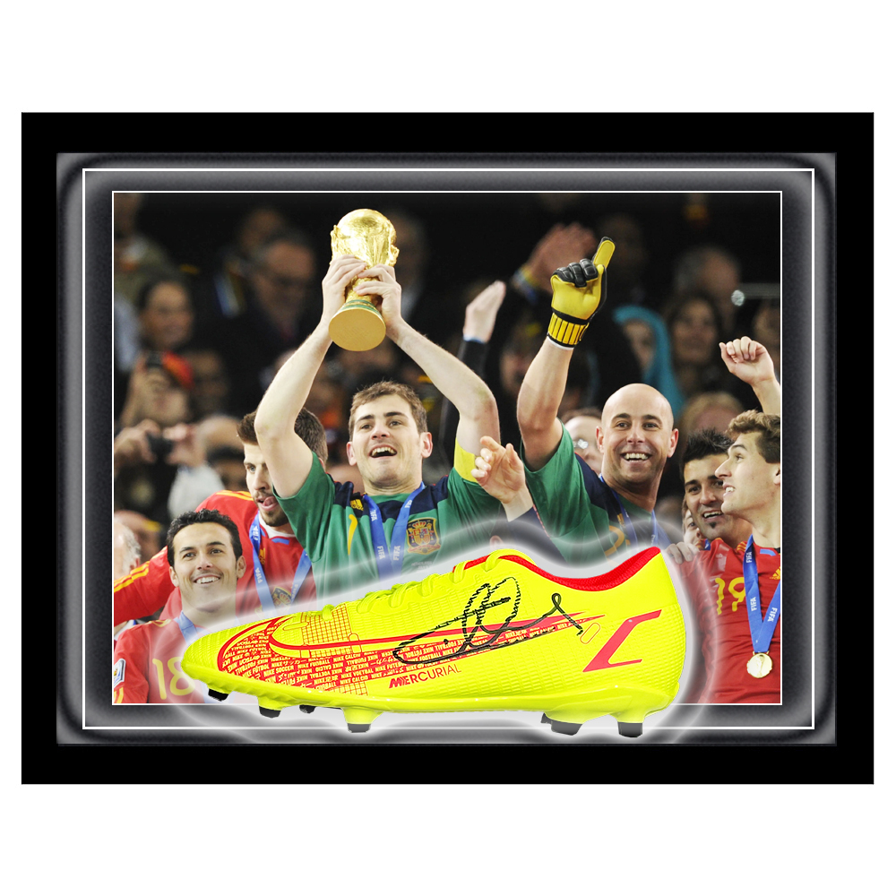 casillas 2010 0082