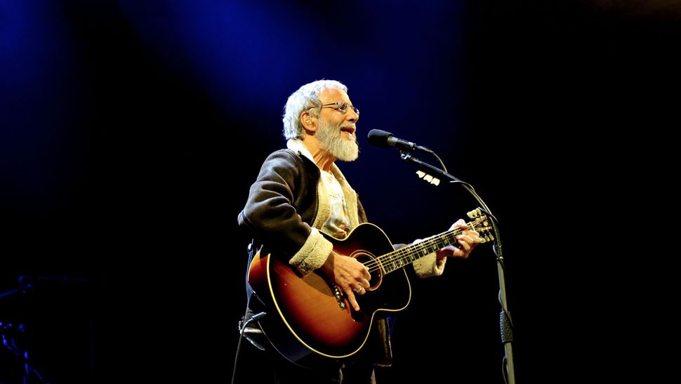 cat stevens images 0046