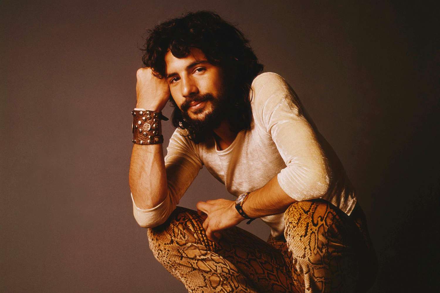 Cat Stevens music history