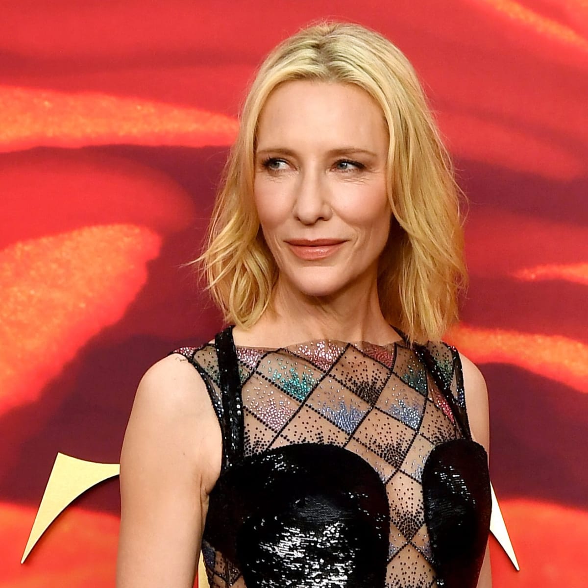 cate blanchett hot pics 0016