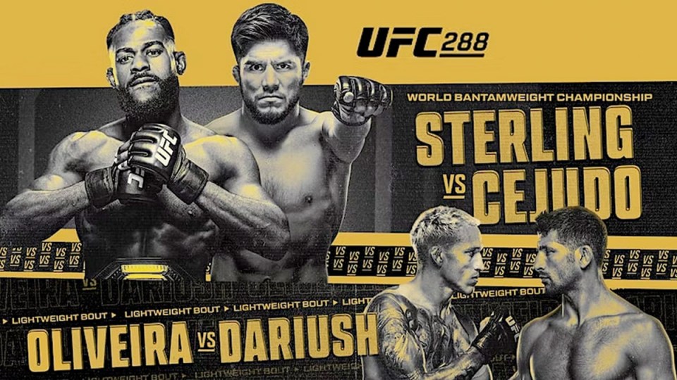 cejudo vs johnson 0040