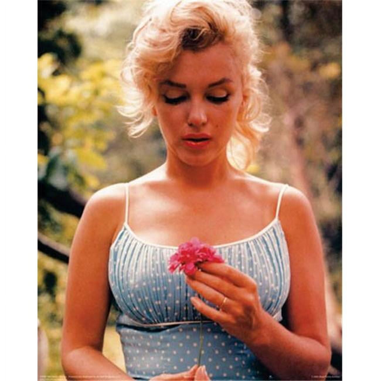 celebrity posters 0034