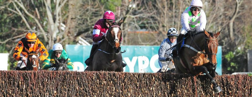 champion chase 2022 0025