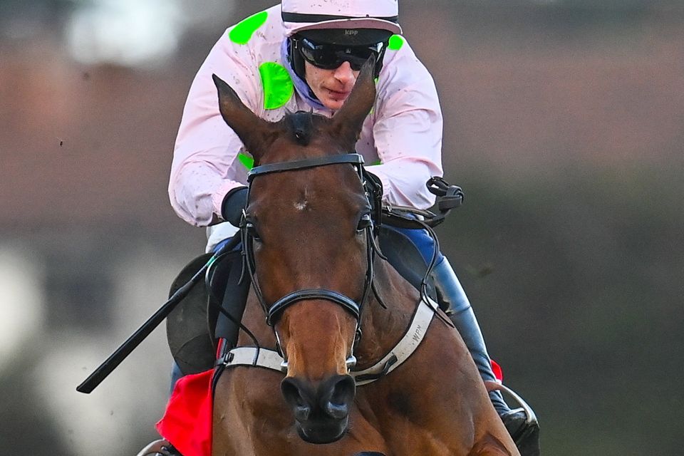 champion chase 2022 0032