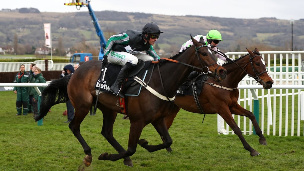 champion chase betting