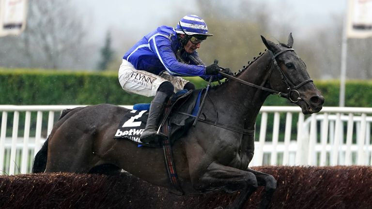 champion chase cheltenham 0010