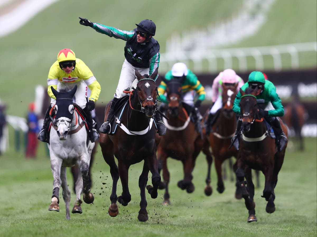 champion chase cheltenham 0012