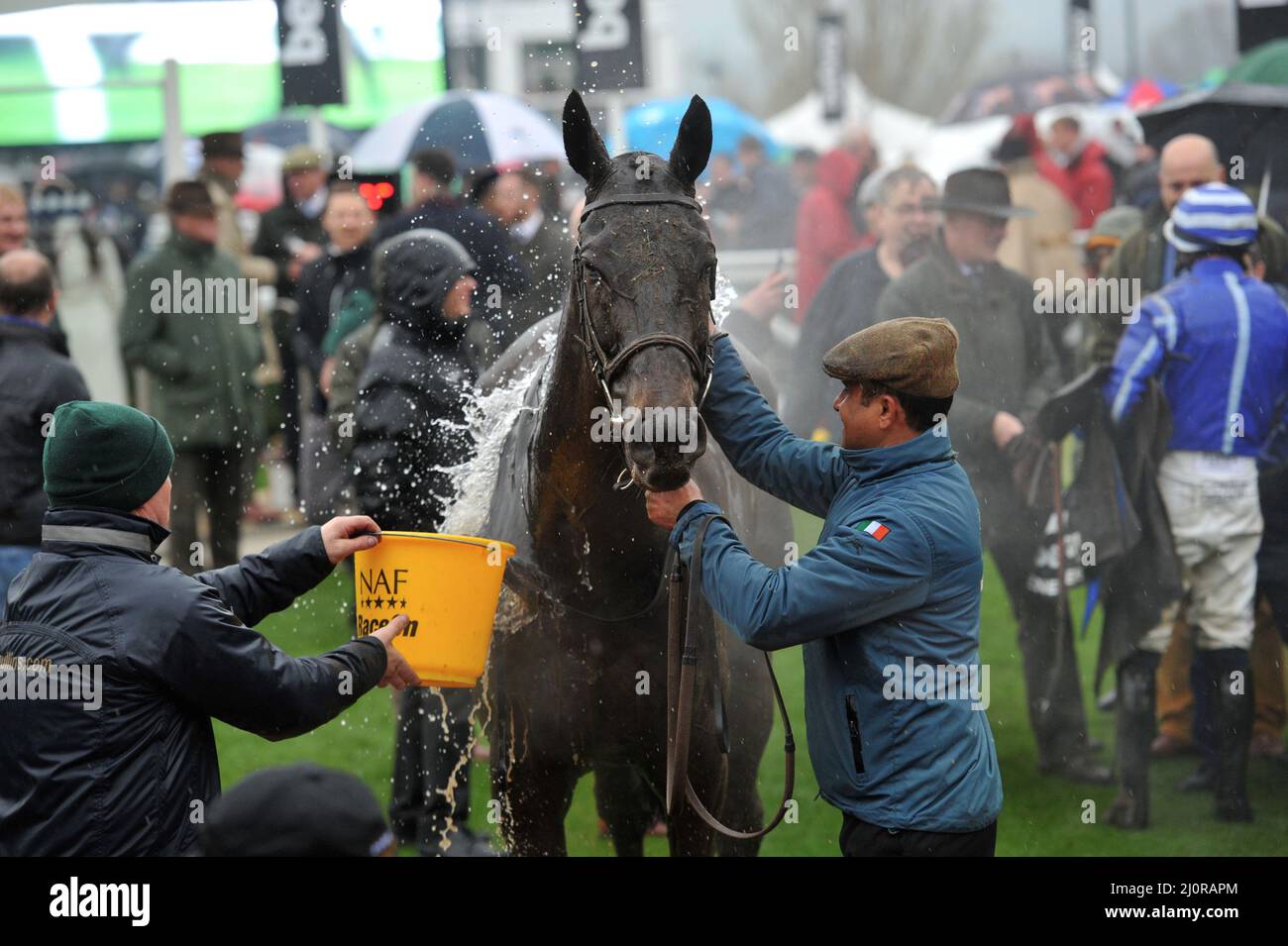 champion chase cheltenham 0021