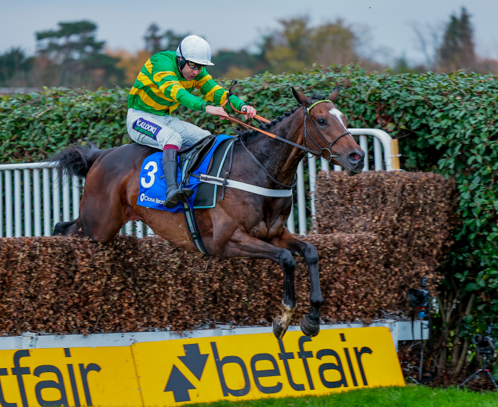 champion chase cheltenham 0024
