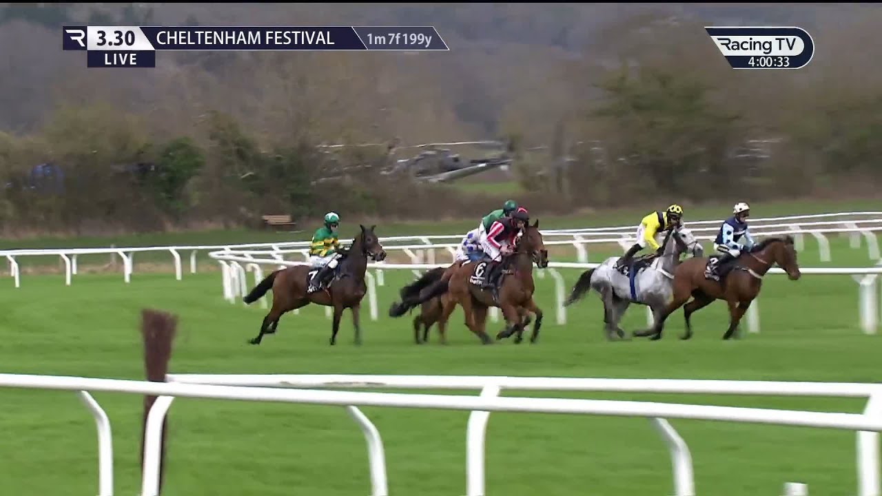 champion chase cheltenham 0028