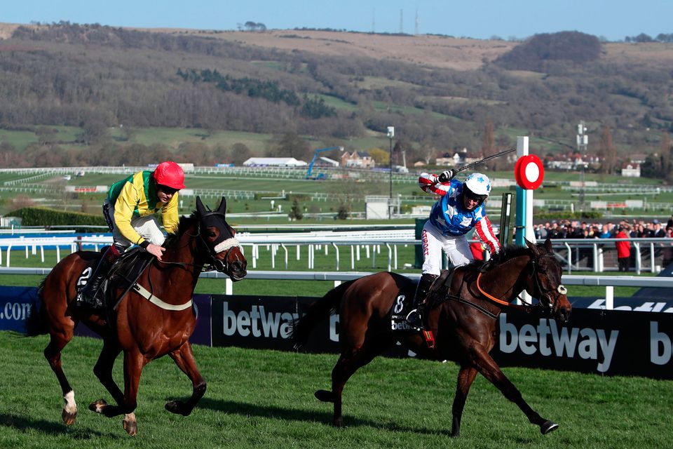 champion chase cheltenham 0035