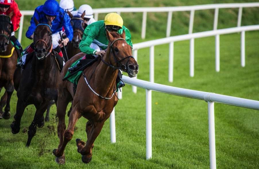 champion chase cheltenham 0039