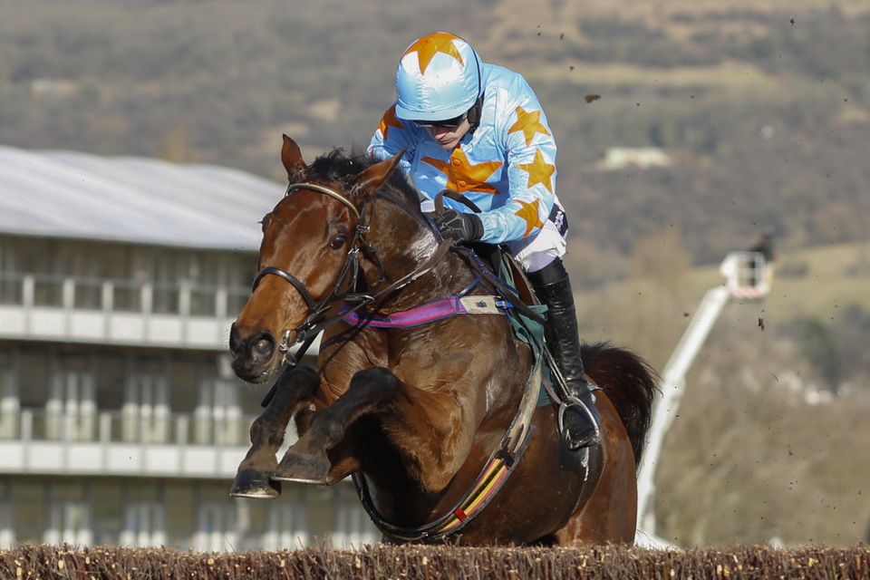champion chase cheltenham 0042
