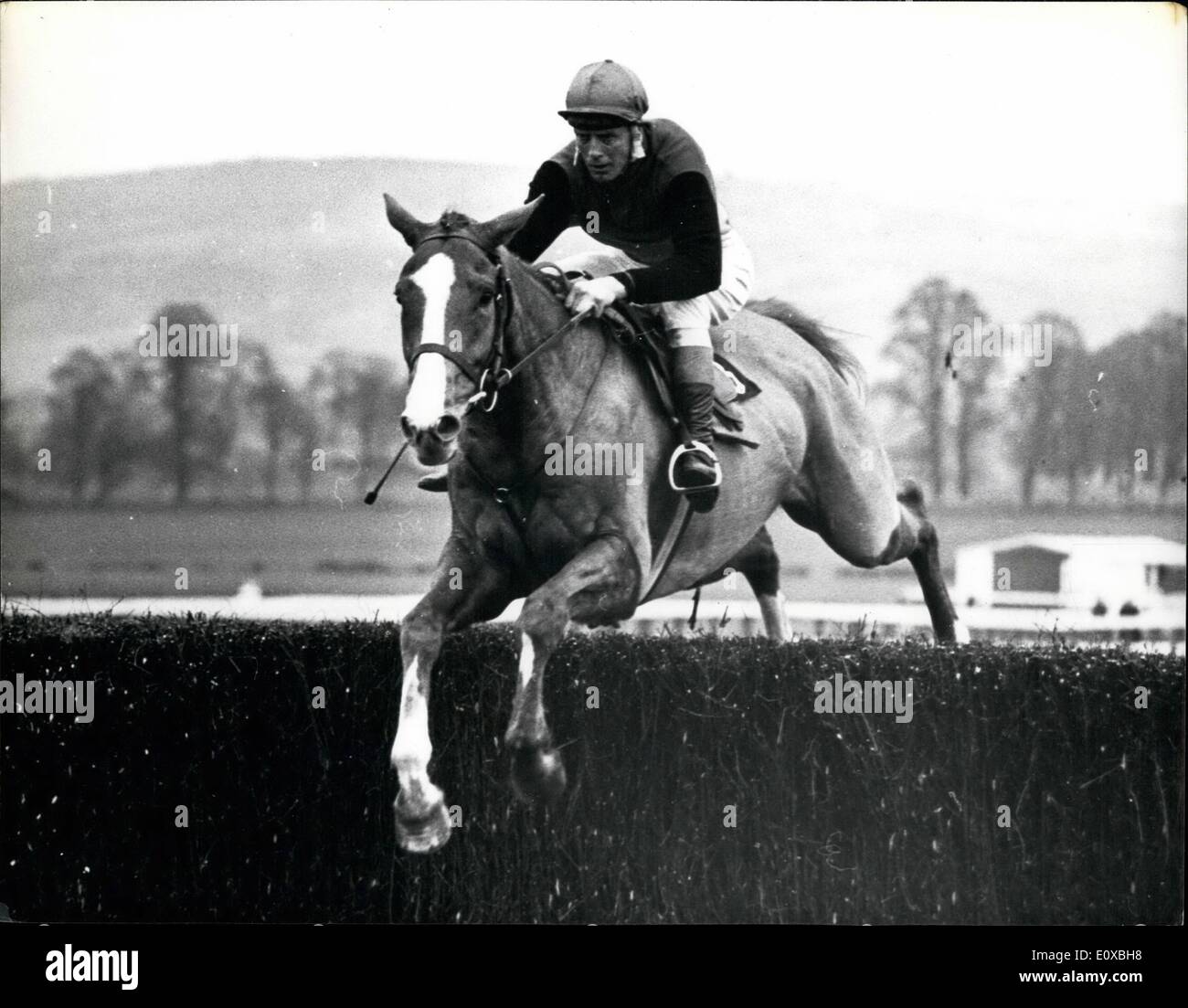 champion chase cheltenham 0045