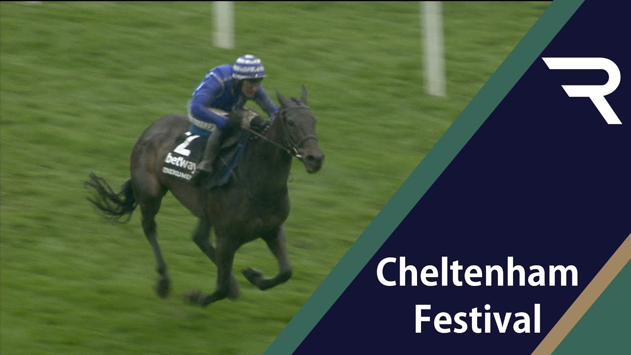Champion Chase highlights
