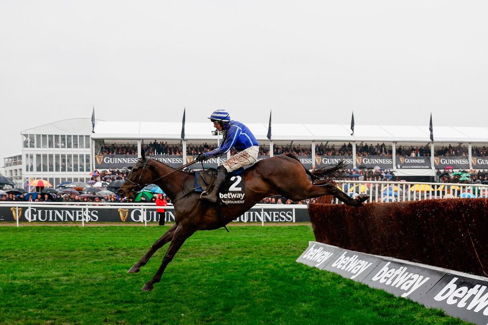 champion chase live stream.