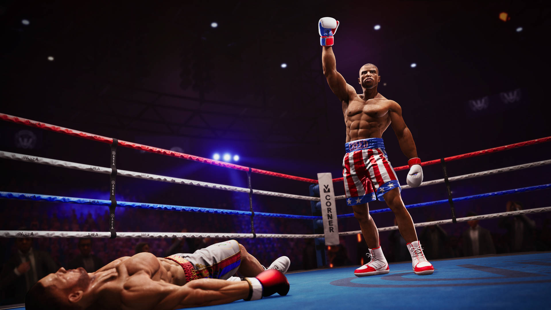 champion training visuals