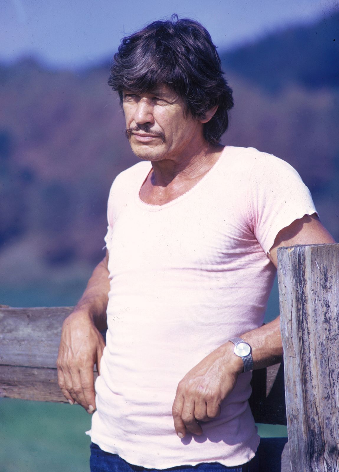 charles bronson pics
