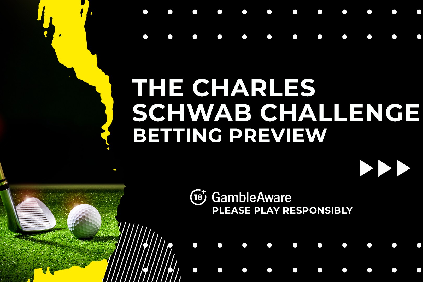 charles schwab plaid 0037